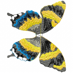 Butterfly Embroidery Design 6 Butterfly Embroidery Design 6